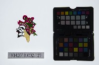 藏品(皮影戲偶頭-丑)的圖片