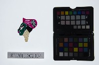 藏品(皮影戲偶頭-淨)的圖片