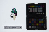 藏品(皮影戲偶頭-雜)的圖片