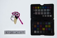 藏品(皮影戲偶頭-生)的圖片