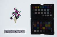 藏品(皮影戲偶頭-丑)的圖片