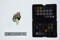 藏品(皮影戲偶頭-雜)的圖片