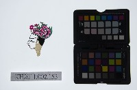 藏品(皮影戲偶頭-生)的圖片