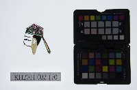 藏品(皮影戲偶頭-生)的圖片