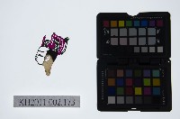 藏品(皮影戲偶頭-生)的圖片