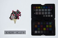 藏品(皮影戲偶頭-淨)的圖片