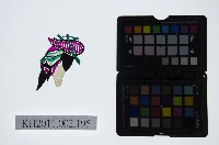 藏品(皮影戲偶頭-淨)的圖片