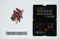 藏品(皮影戲偶頭-淨)的圖片