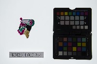 藏品(皮影戲偶頭-淨)的圖片