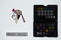 藏品(皮影戲偶頭-生)的圖片