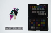 藏品(皮影戲偶頭-淨)的圖片