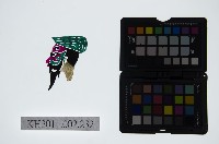 藏品(皮影戲偶頭-雜)的圖片