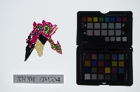 藏品(皮影戲偶頭-雜)的圖片