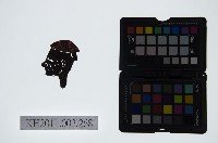 藏品(皮影戲偶頭-雜)的圖片