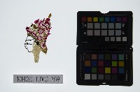 藏品(皮影戲偶頭-生)的圖片