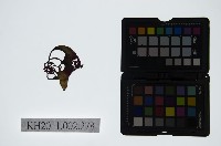 藏品(皮影戲偶頭-丑)的圖片