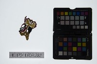 藏品(皮影戲偶頭-淨)的圖片