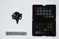 藏品(皮影戲偶頭-雜)的圖片