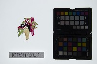 藏品(皮影戲偶頭-雜)的圖片