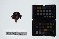 藏品(皮影戲偶頭-雜)的圖片