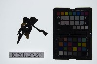 藏品(皮影戲偶頭-末)的圖片