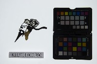 藏品(皮影戲偶頭-末)的圖片