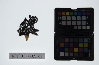 藏品(皮影戲偶頭-淨)的圖片