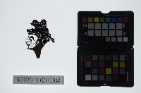 藏品(皮影戲偶頭-丑)的圖片