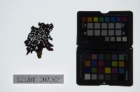 藏品(皮影戲偶頭-淨)的圖片