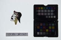 藏品(皮影戲偶頭-生)的圖片