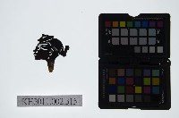 藏品(皮影戲偶頭-雜)的圖片