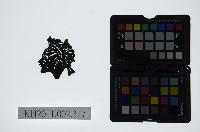 藏品(皮影戲偶頭-淨)的圖片