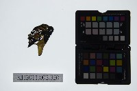 藏品(皮影戲偶頭-雜)的圖片