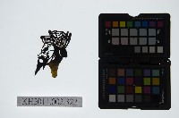 藏品(皮影戲偶頭-丑)的圖片