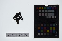 藏品(皮影戲偶頭-雜)的圖片