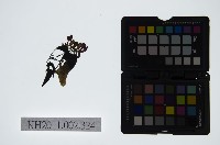 藏品(皮影戲偶頭-末)的圖片