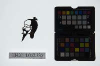 藏品(皮影戲偶頭-丑)的圖片