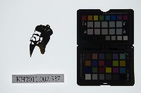 藏品(皮影戲偶頭-末)的圖片