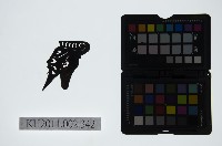 藏品(皮影戲偶頭-雜)的圖片