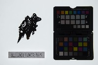 藏品(皮影戲偶頭-淨)的圖片