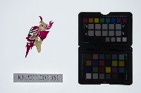 藏品(皮影戲偶頭-雜)的圖片