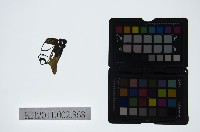 藏品(皮影戲偶頭-生)的圖片