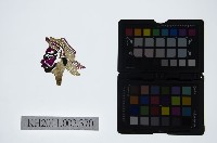 藏品(皮影戲偶頭-淨)的圖片