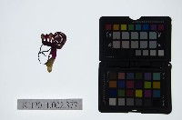 藏品(皮影戲偶頭-生)的圖片