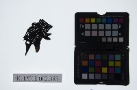 藏品(皮影戲偶頭-末)的圖片