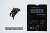 藏品(皮影戲偶頭-淨)的圖片