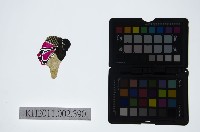 藏品(皮影戲偶頭-生)的圖片