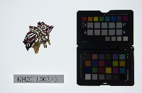 藏品(皮影戲偶頭-淨)的圖片