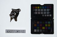 藏品(皮影戲偶頭-淨)的圖片