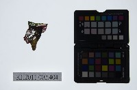 藏品(皮影戲偶頭-雜)的圖片